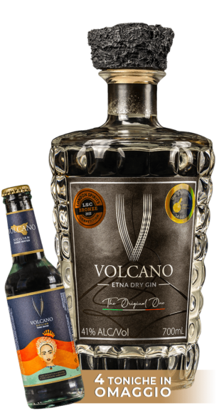 bottiglia gin dry + 4 toniche